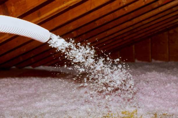 Best Spray Foam Insulation in North Palm Beach, FL