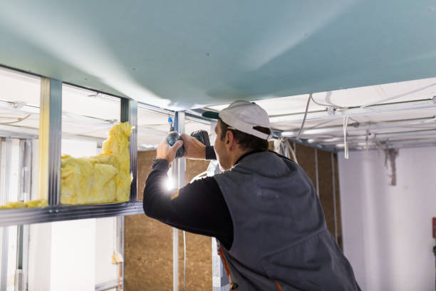 Best Eco-Friendly Insulation in North Palm Beach, FL