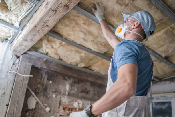 Best Geographic-Specific Insulation Services in North Palm Beach, FL