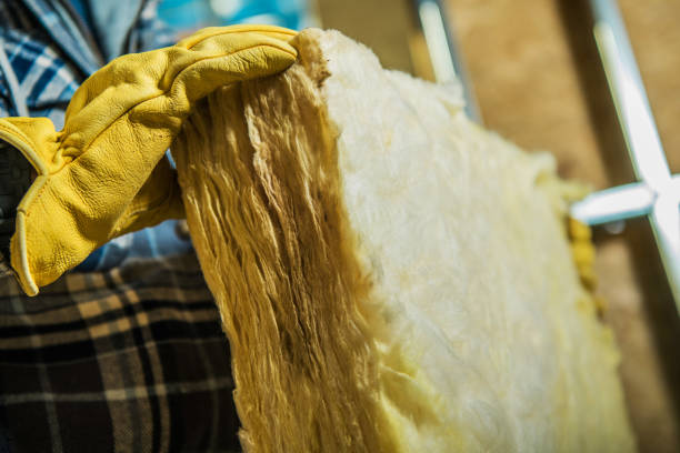 Best Eco-Friendly Insulation in North Palm Beach, FL